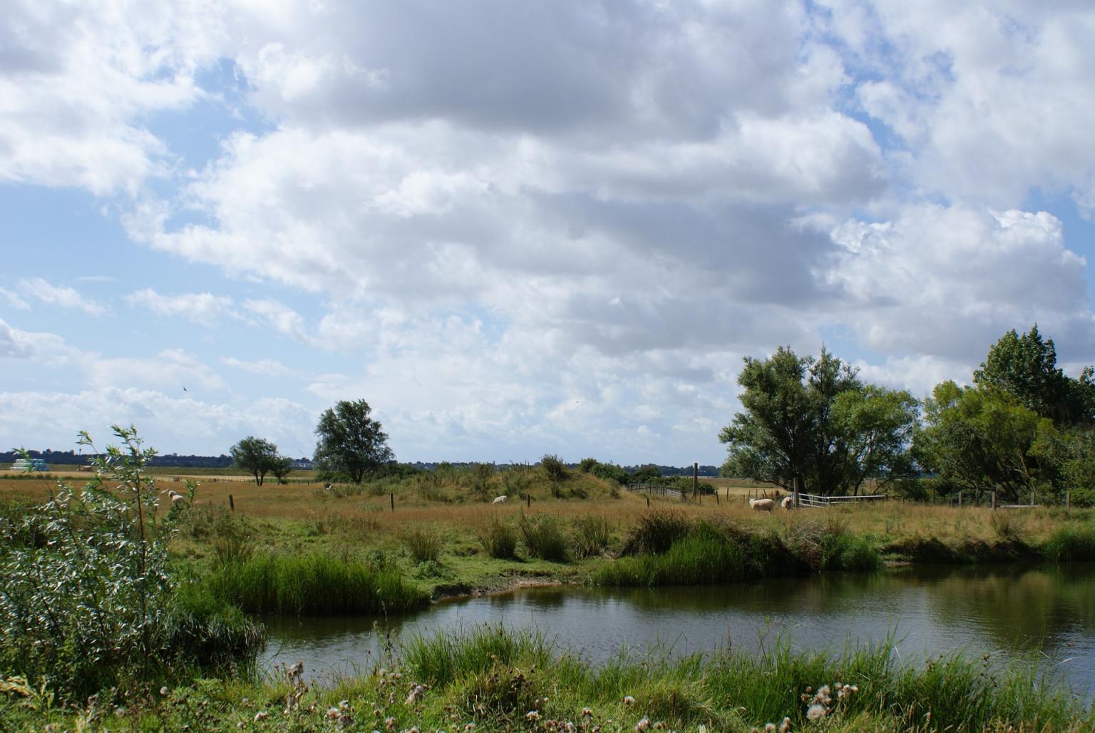 English pond and farmland   CCO
