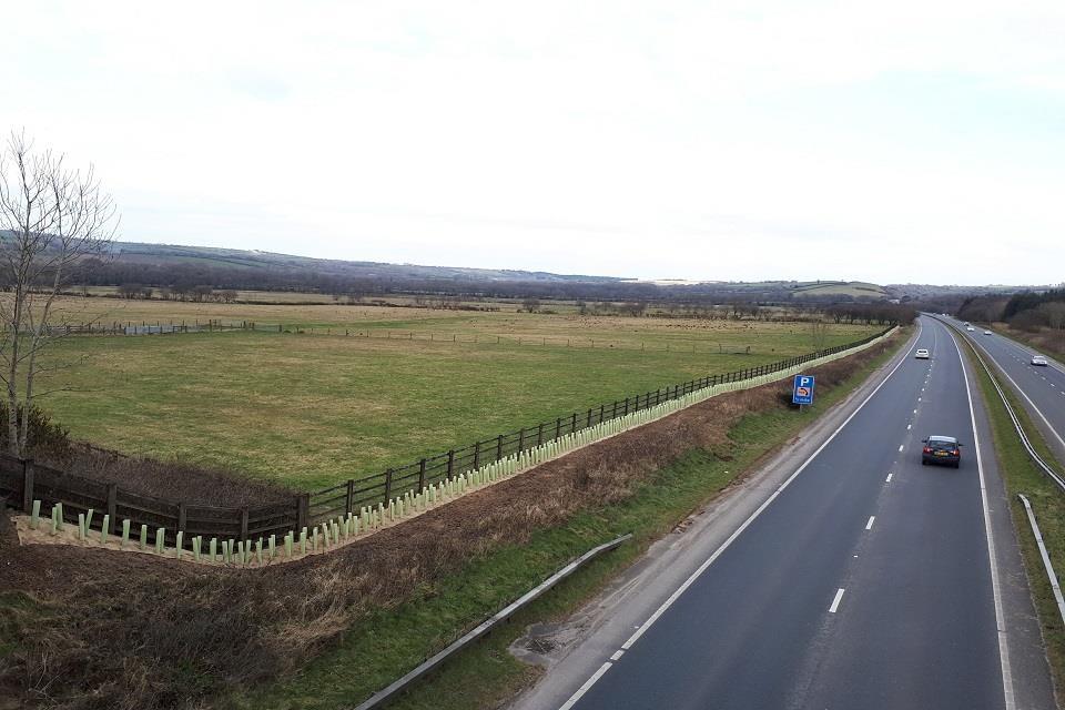 Tree planting along the A30  Picture: Highways England