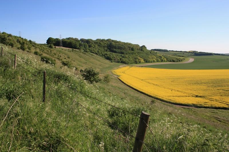 The studies will look at the impact of chemicals on UK habitats and wildlife