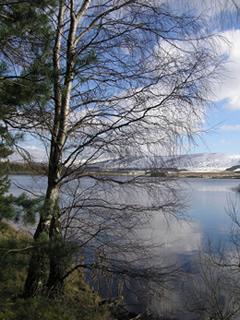 Gladhouse reservoir, Midlothian