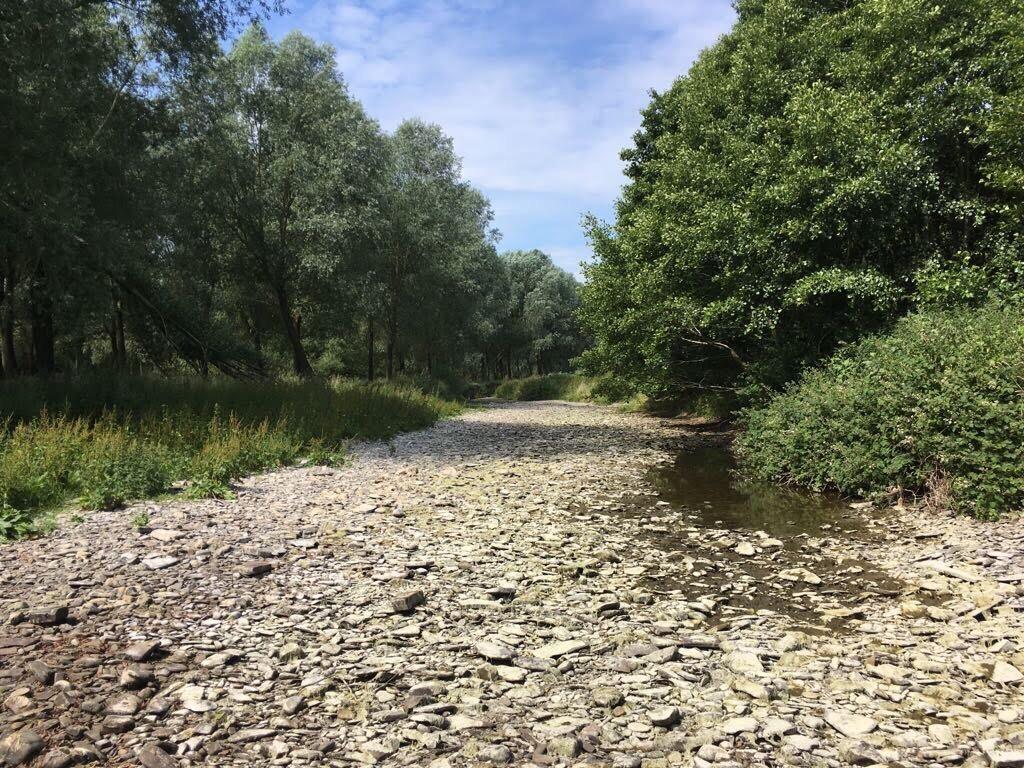 Dry river bed on the River Team in Stannage. Dave Throup/EA