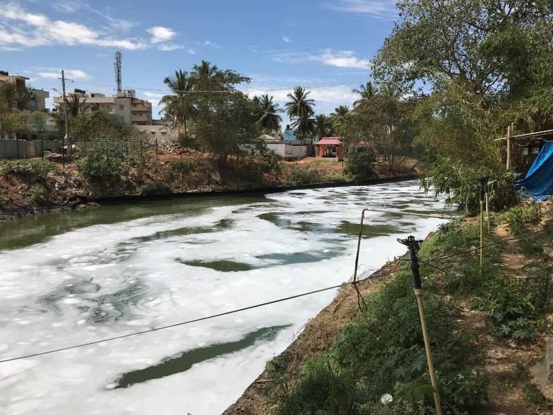 Bellandur Lake outflow, Bangalore