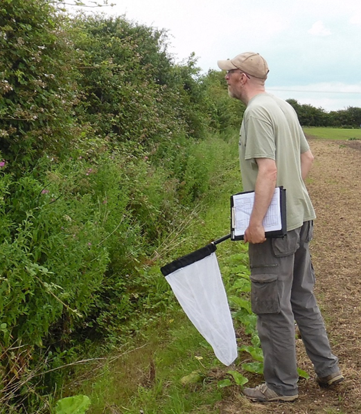 Bumblebee transect © CEH, Judy Hart