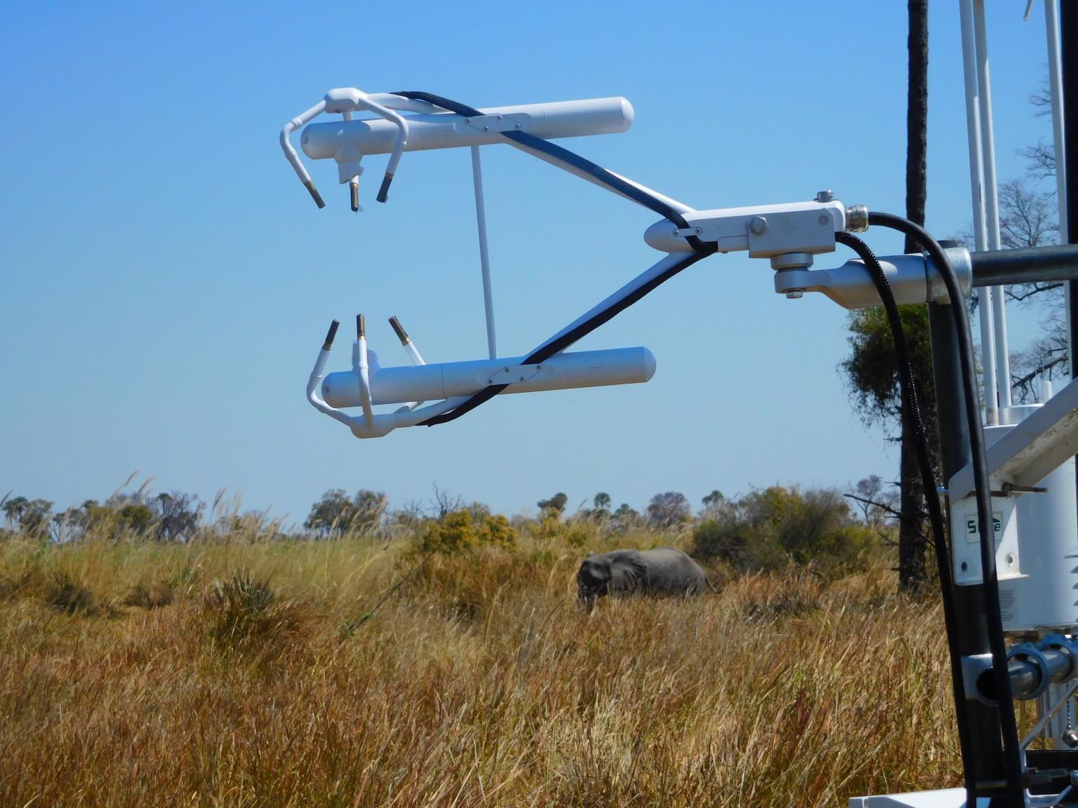 Installation of the ultrasonic anemometer interrupted by a roaming elephant