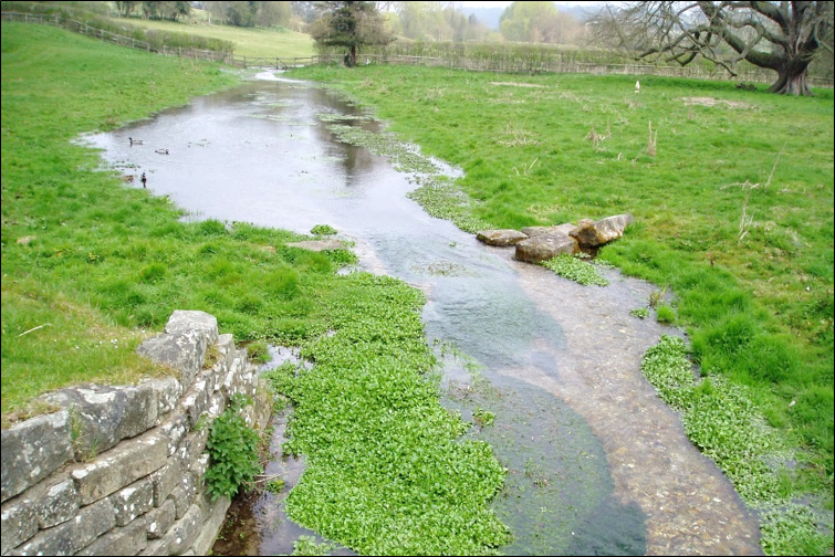 A stream flowing