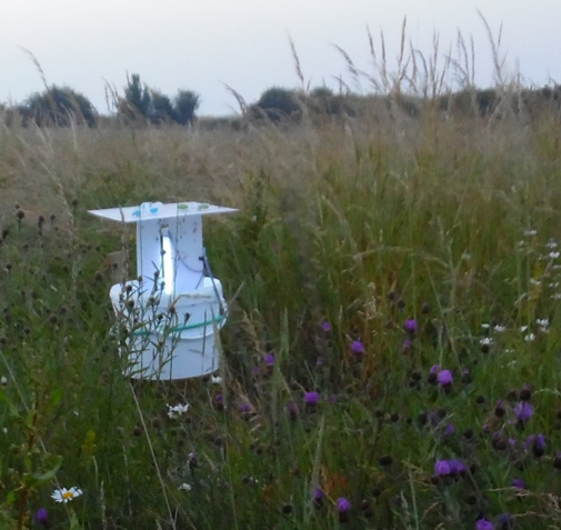 Moth light trap at dawn © CEH, Judy Hart