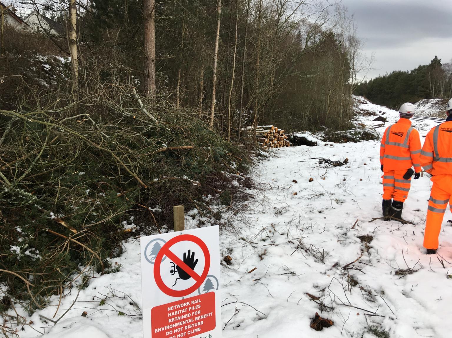 Habitat piles_Network Rail 