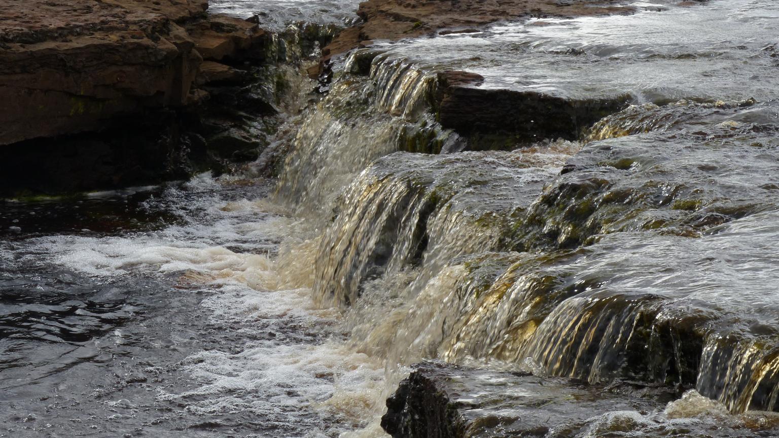 FREEDOM project - photo of upland stream