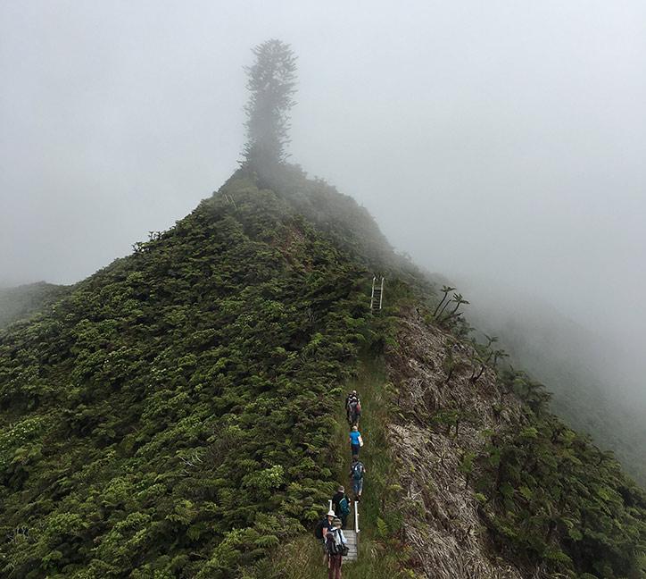 Trekking to Diana's Peak, St Helena