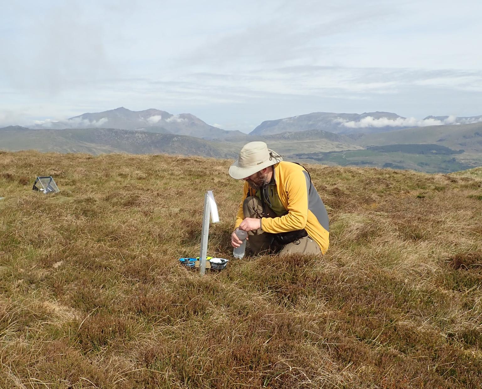 Volunteer PoMS 1km survey   Picture: Richard Dawson.jpg