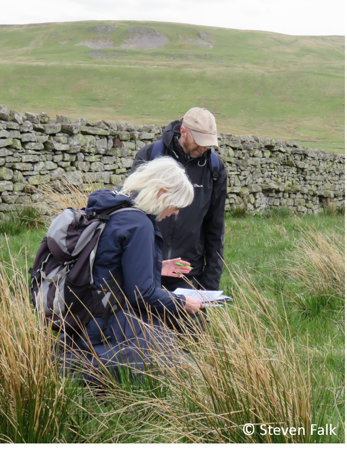 Yorkshire Dales botanical survey © Steven Falk