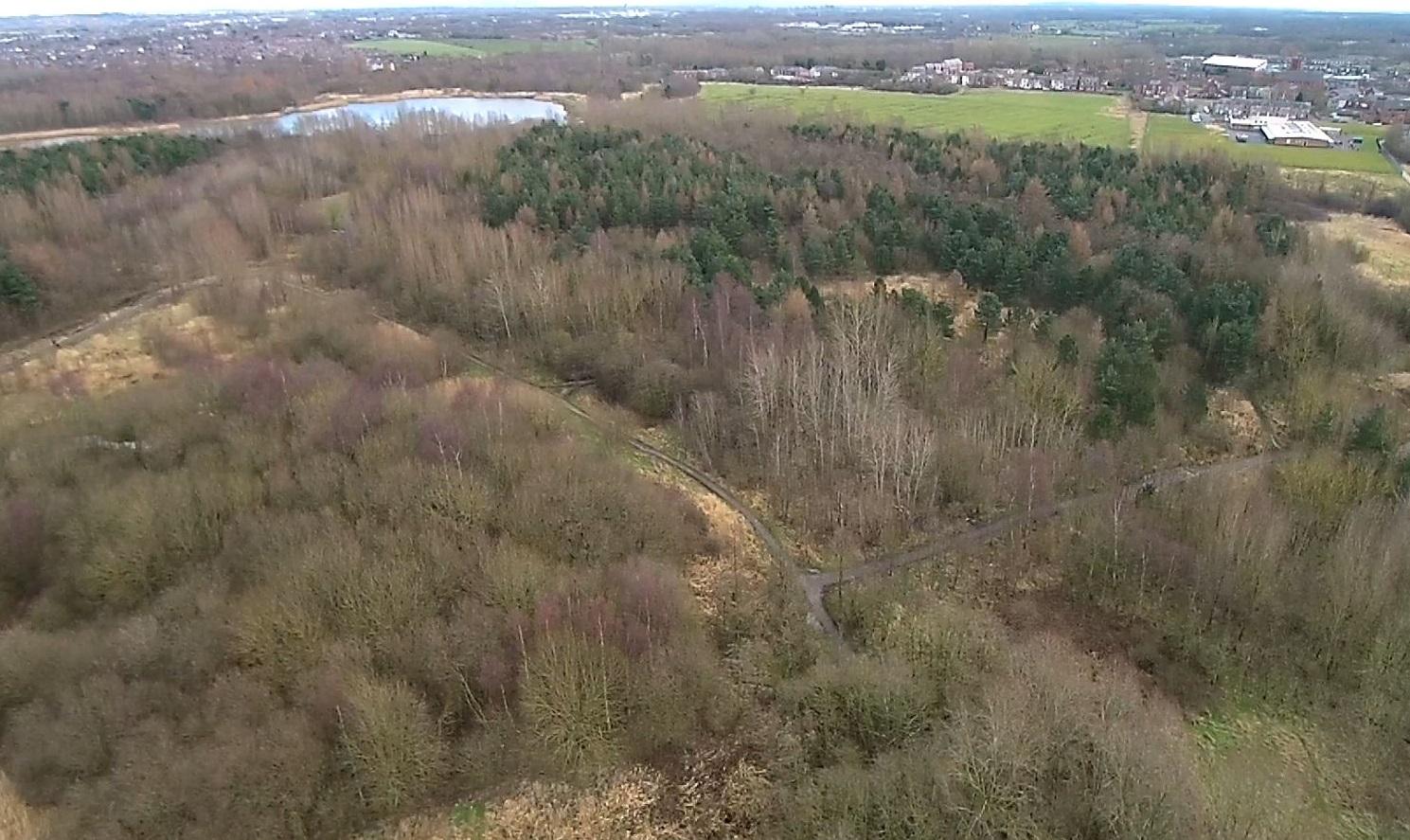 Amberswood Common