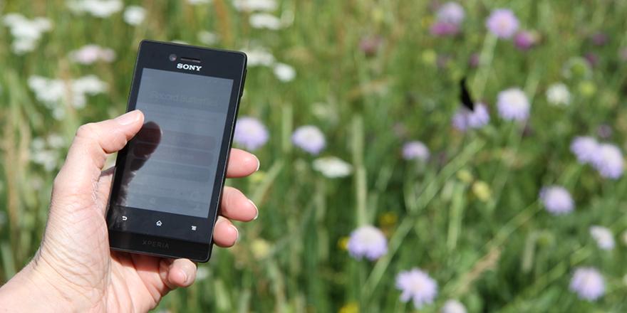 Hand holding a mobile phone in front of flowers and a butterfly