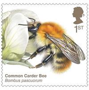 Common carder bee stamp