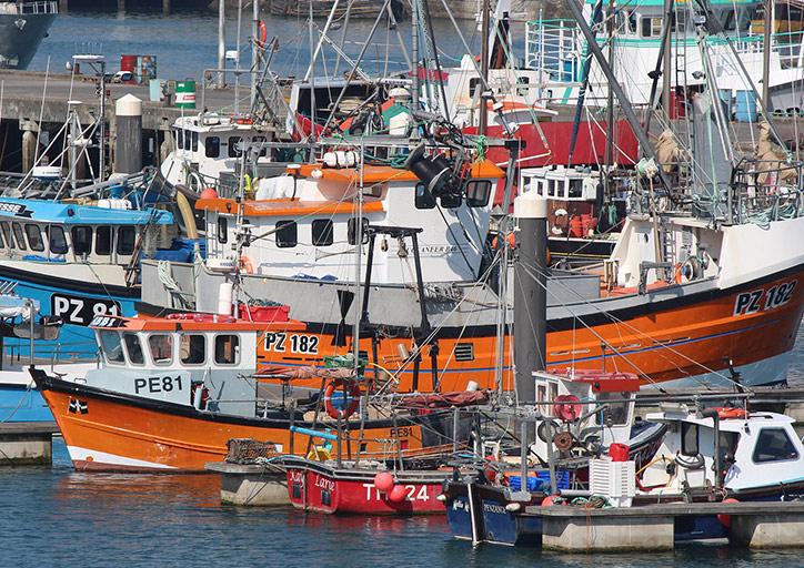 Fishing boats