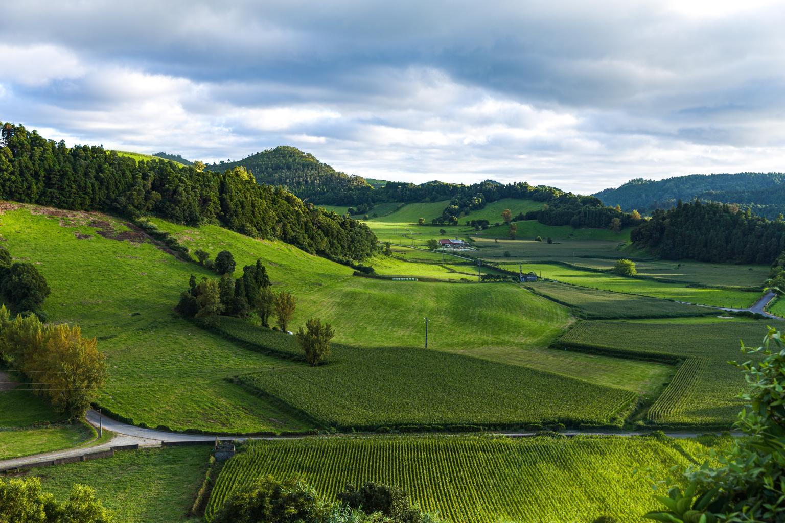 Landscape of crops, woods and hills.