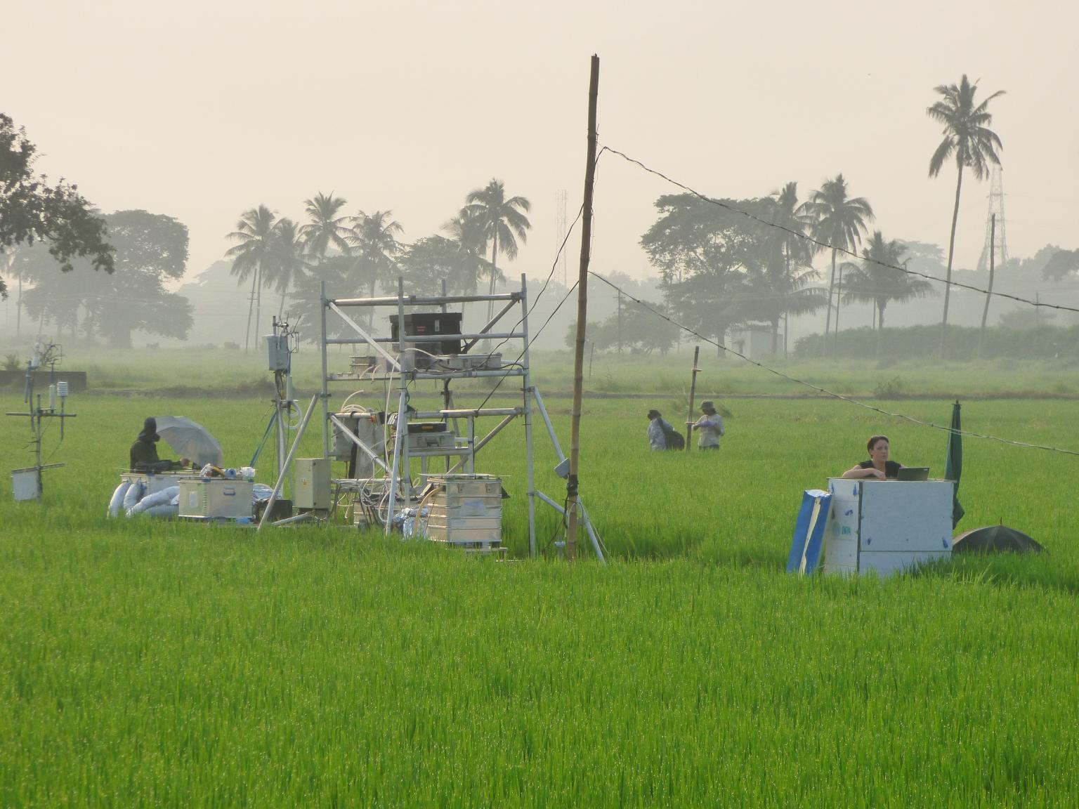 Testing of nitrogen flux measurement methods over rice in Odisha, India Photo: Mark Sutton 
