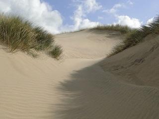 A mobile sand dune