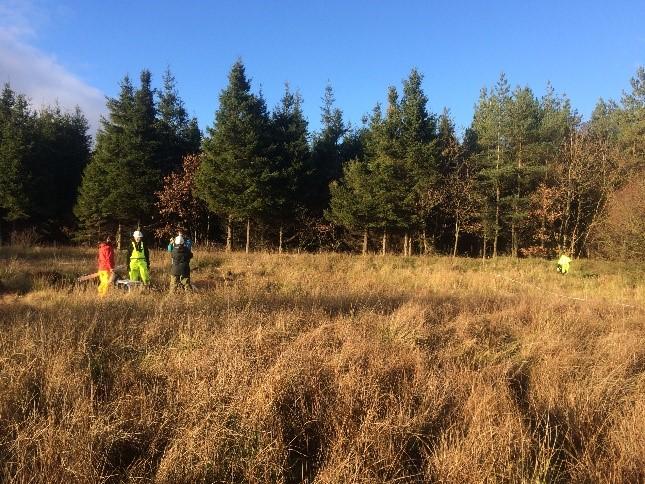 Scientists stand in a field near woodland