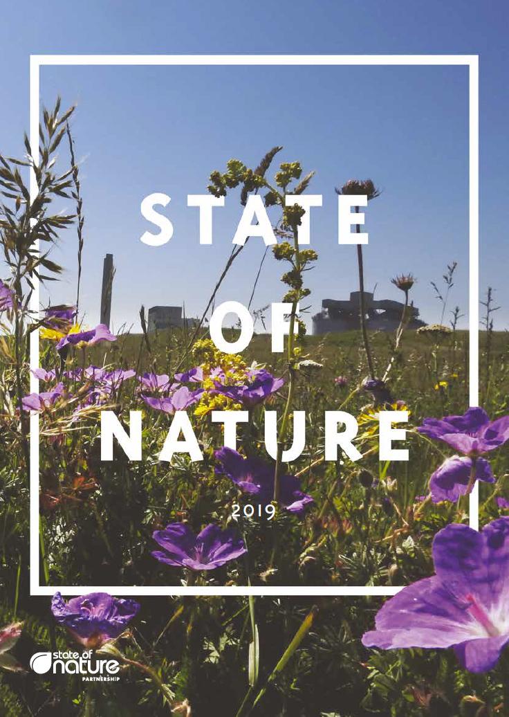 Front cover of UK State of Nature 2019 report