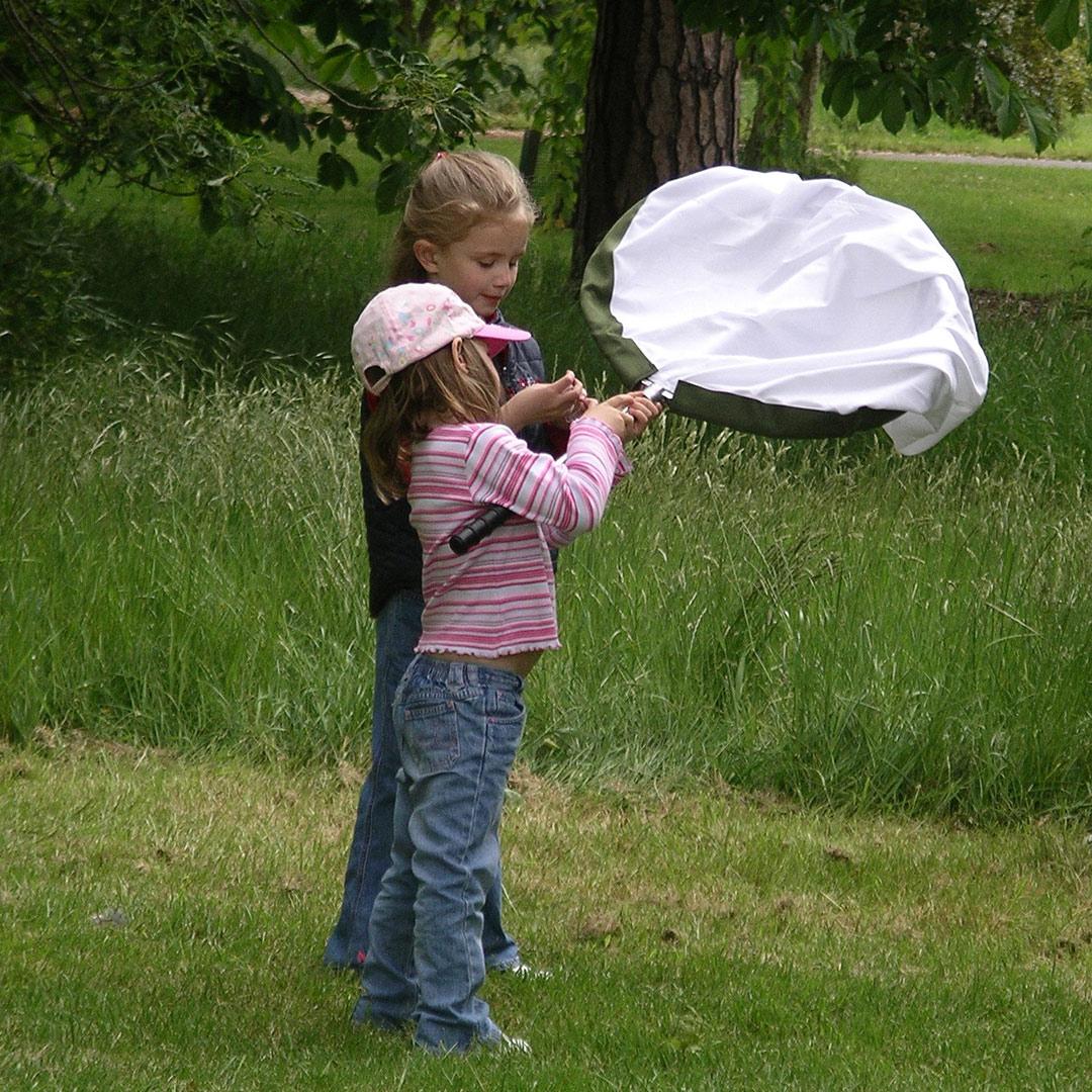 Young entomologists