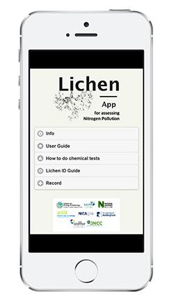 Lichen App mobile phone screenshot