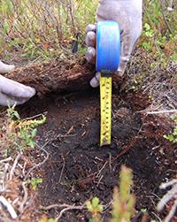 Measuring soil layers