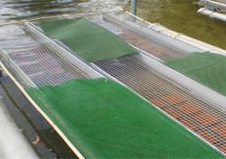 Shading on the Lambourn mesocosm used during the experiment