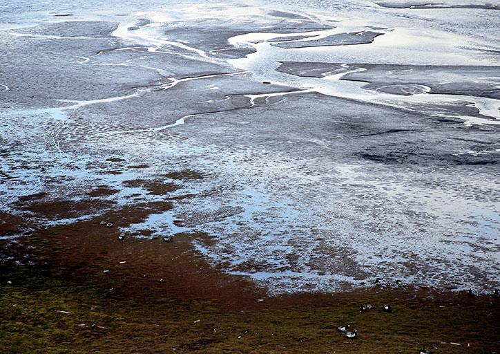 Polar ice and melt