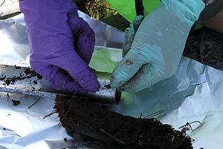 Analysing a soil sample from Whim bog