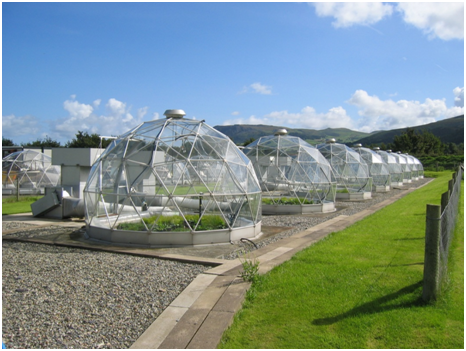 Solardomes at CEH Bangor