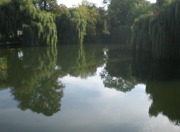 Thames at Sonning