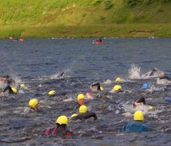 Triathlon competitors swimming in a lake