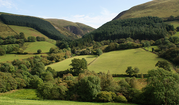 Farmland in Wales