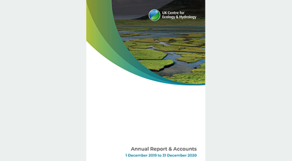 Annual Reports and Accounts