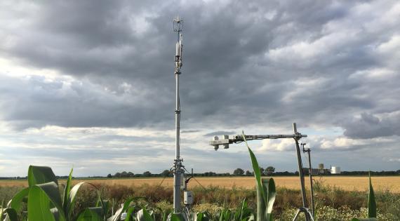 Flux monitoring on fen