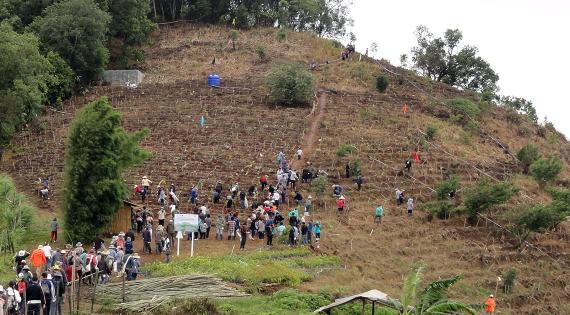 Large group of people on a mound cleared of trees