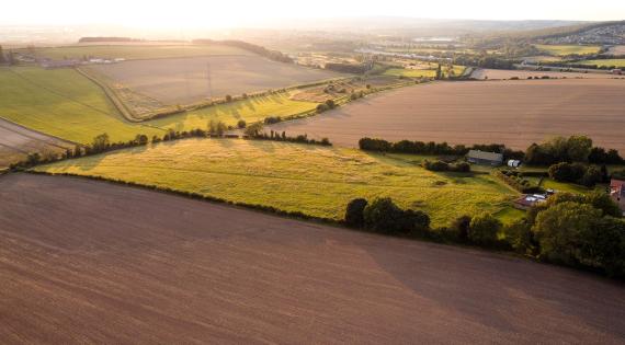 Farmland