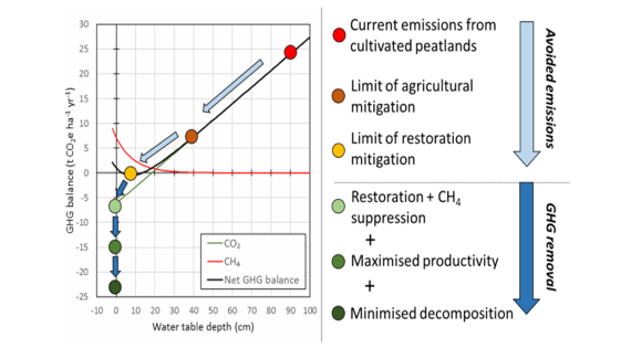 Graph of gas emissions that varies with water table depth
