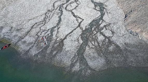 Drone view of a braided river on Svalbard