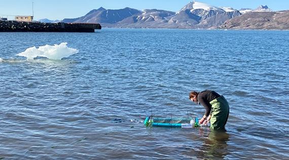 UKCEH scientist Alex O'Brien deploying a floating basket in the marine fjord