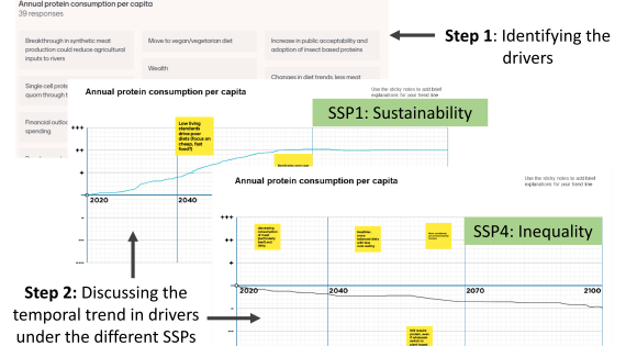 LTLS-FE Scenario Co-development Workshop