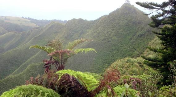 Diana's Peak, St Helena