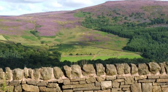 Stone wall with hills in background