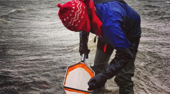 Freshwater Sampling