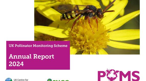 PoMS Annual Report 2024
