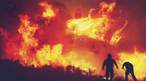Wildfire