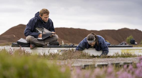 Peatland Nitrogen Pollution experiment Whim Bog Edinburgh