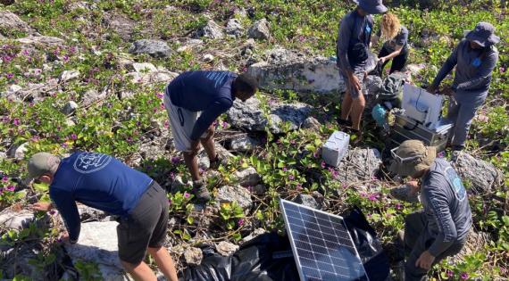 Group of people looking among vegetation on Anguilla
