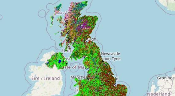 Land Cover Map 2024